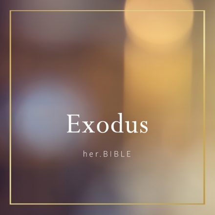 Doris McMillion reading Exodus at her.BIBLE